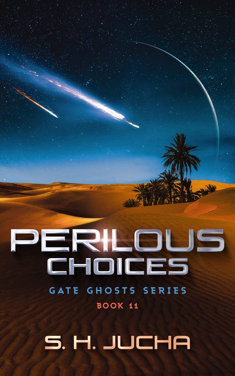 Perilous Choices book cover